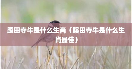 蹊田夺牛是什么生肖（蹊田夺牛是什么生肖最佳）