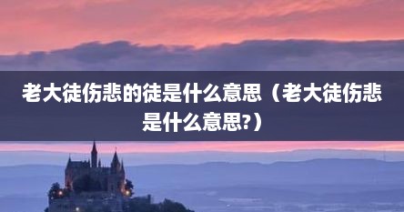 老大徒伤悲的徒是什么意思（老大徒伤悲是什么意思?）