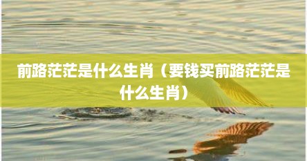 前路茫茫是什么生肖（要钱买前路茫茫是什么生肖）