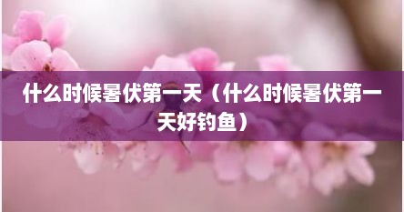 什么时候暑伏第一天（什么时候暑伏第一天好钓鱼）