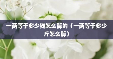 一两等于多少钱怎么算的（一两等于多少斤怎么算）