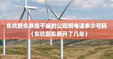 东坑新东泰是干嘛的公司啊电话多少号码（东坑新东泰开了几年）