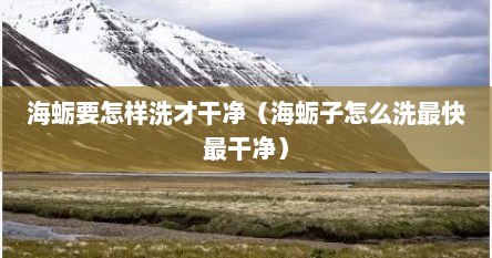 海蛎要怎样洗才干净（海蛎子怎么洗最快最干净）