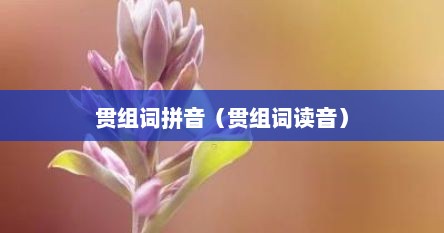 贯组词拼音（贯组词读音）