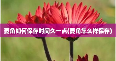 菱角如何保存时间久一点(菱角怎么样保存)