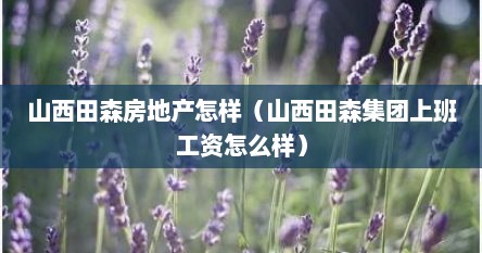 山西田森房地产怎样（山西田森集团上班工资怎么样）