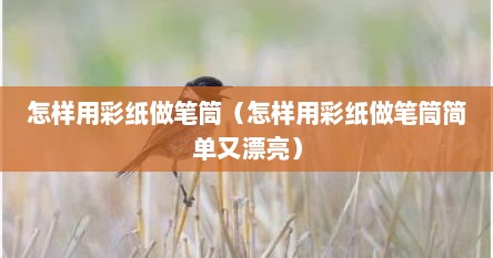 怎样用彩纸做笔筒（怎样用彩纸做笔筒简单又漂亮）