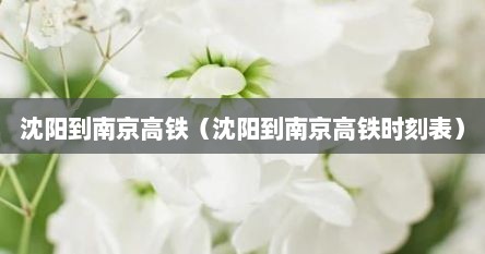 沈阳到南京高铁（沈阳到南京高铁时刻表）