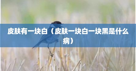 皮肤有一块白（皮肤一块白一块黑是什么病）