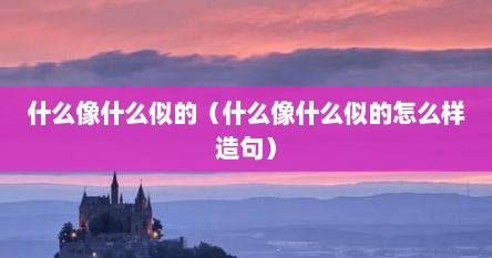 什么像什么似的（什么像什么似的怎么样造句）