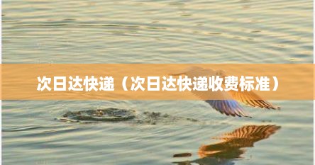 次日达快递（次日达快递收费标准）