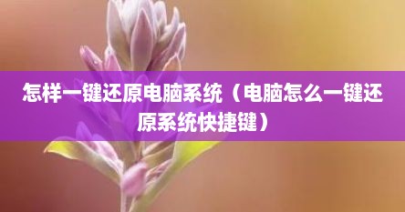 电脑系统的一键还原（电脑如果一键还原系统）