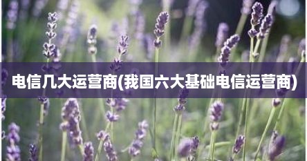 电信几大运营商(我国六大基础电信运营商)