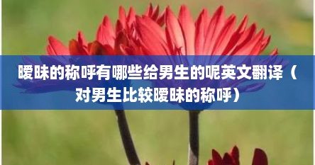 暧昧的称呼有哪些给男生的呢英文翻译（对男生比较暧昧的称呼）