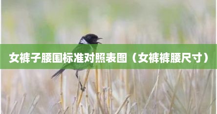 女裤子腰围标准对照表图（女裤裤腰尺寸）