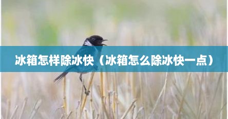 冰箱怎样除冰快（冰箱怎么除冰快一点）