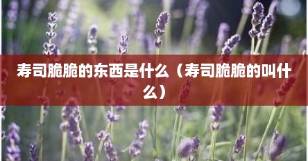 寿司脆脆的东西是什么（寿司脆脆的叫什么）