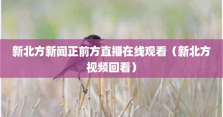 新北方新闻正前方直播在线观看（新北方视频回看）