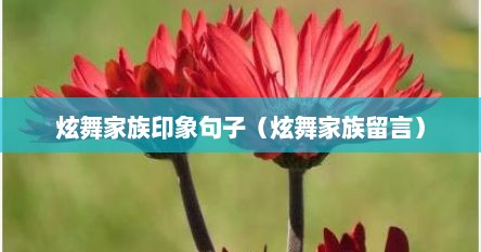 炫舞家族印象句子（炫舞家族留言）