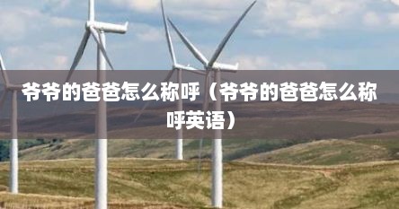 爷爷的爸爸怎么称呼（爷爷的爸爸怎么称呼英语）
