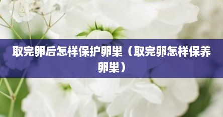 取完卵后怎样保护卵巢（取完卵怎样保养卵巢）