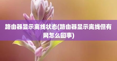 路由器显示离线状态(路由器显示离线但有网怎么回事)
