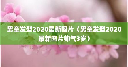 男童发型2020最新图片（男童发型2020最新图片帅气3岁）