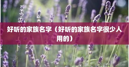 好听的家族名字（好听的家族名字很少人用的）