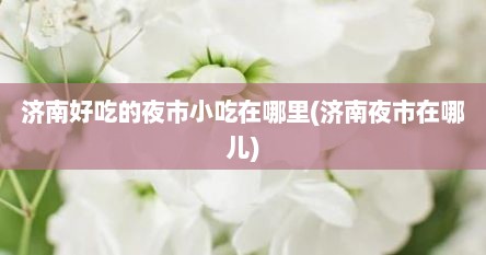 济南好吃的夜市小吃在哪里(济南夜市在哪儿)