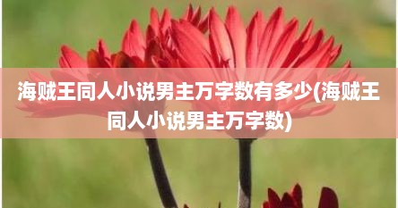 海贼王同人小说男主万字数有多少(海贼王同人小说男主万字数)
