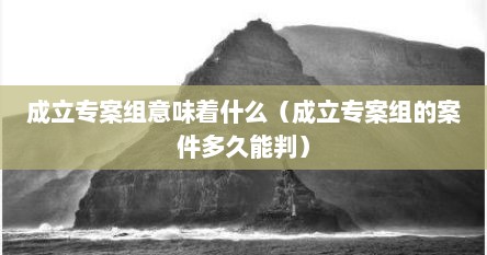 成立专案组意味着什么（成立专案组的案件多久能判）