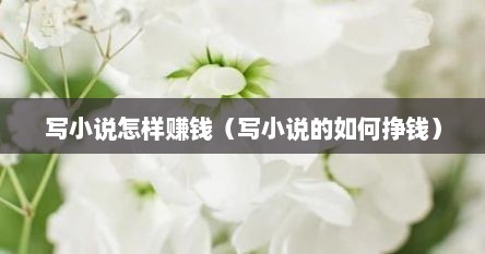 写小说怎样赚钱（写小说的如何挣钱）