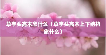 草字头高木念什么（草字头高木上下结构念什么）