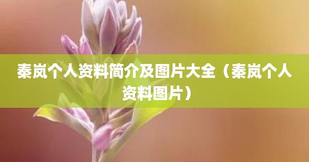 秦岚个人资料简介及图片大全（秦岚个人 资料图片）