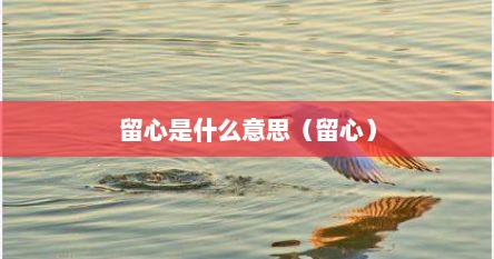 留心是什么意思（留心）