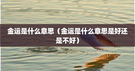 金运是什么意思（金运是什么意思是好还是不好）