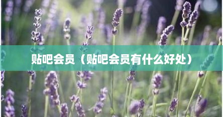 贴吧会员（贴吧会员有什么好处）