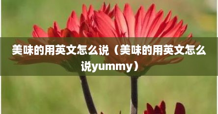 美味的用英文怎么说（美味的用英文怎么说yummy）