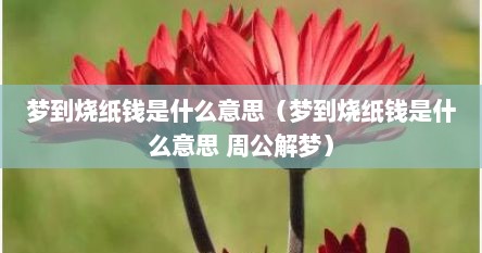梦到烧纸钱是什么意思（梦到烧纸钱是什么意思 周公解梦）