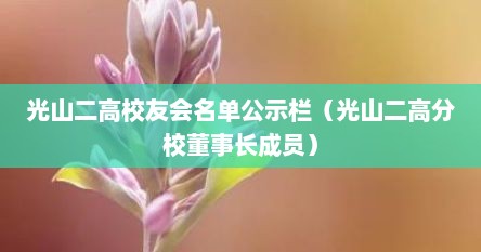 光山二高校友会名单公示栏（光山二高分校董事长成员）