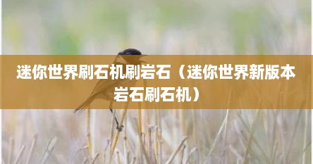 迷你世界刷石机刷岩石（迷你世界新版本岩石刷石机）