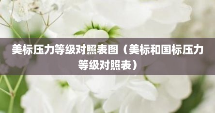 美标压力等级对照表图（美标和国标压力等级对照表）
