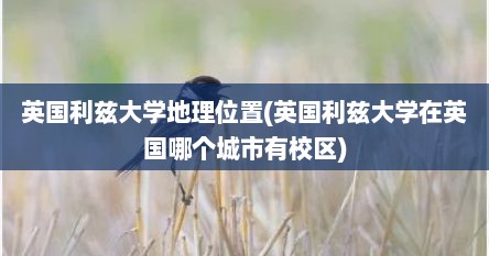 英国利兹大学地理位置(英国利兹大学在英国哪个城市有校区)