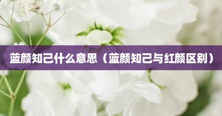 蓝颜知己什么意思（蓝颜知己与红颜区别）