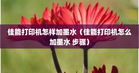 佳能打印机怎样加墨水（佳能打印机怎么加墨水 步骤）