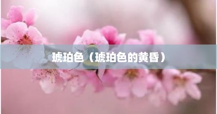 琥珀色黄昏象征什么（琥珀色黄昏什么样子）