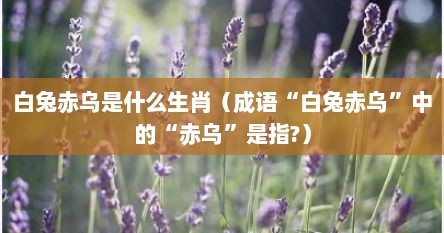 白兔赤乌是什么生肖（成语“白兔赤乌”中的“赤乌”是指?）