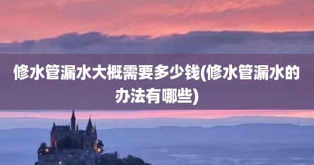 修水管漏水大概需要多少钱(修水管漏水的办法有哪些)