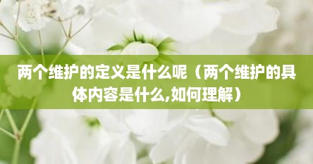 两个维护的定义是什么呢（两个维护的具体内容是什么,如何理解）
