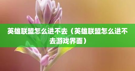英雄联盟怎么进不去（英雄联盟怎么进不去游戏界面）